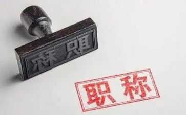 职称2工作总结8篇