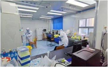 质量工作总结和工作计划6篇