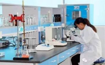 2023质量工作总结参考5篇