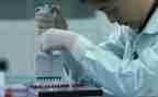 质量的个人总结8篇