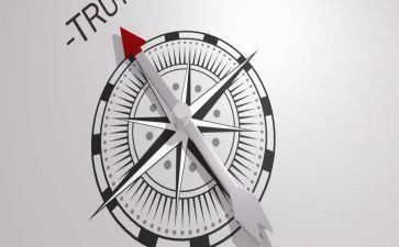 教师指南心得体会优质5篇