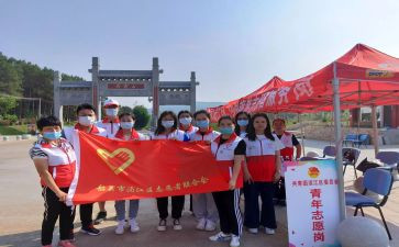 小志愿者服务活动总结5篇