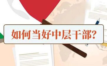 中层心得体会优质5篇