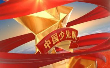 二中队工作总结精选7篇