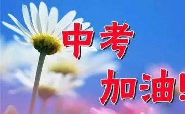 中考培训心得体会8篇