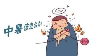 高中暑假社会实践活动心得5篇