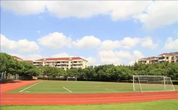 调查中学生上网调查报告8篇