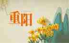 2024幼儿园重阳节活动方案最新7篇