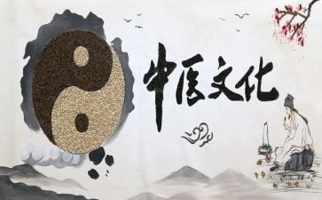 中医培训总结8篇