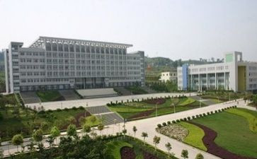 中专幼师毕业生自我鉴定优秀8篇