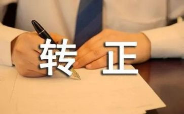 干部转正述职报告7篇