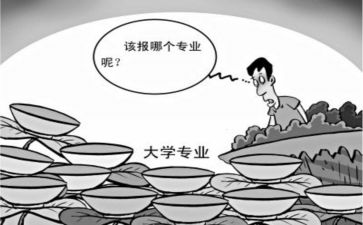 转专业工作总结6篇