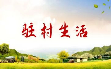 2023年驻村工作总结8篇