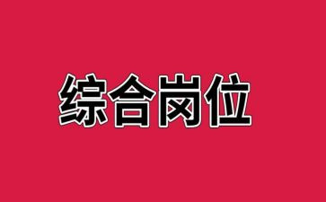 行政综合岗工作计划6篇
