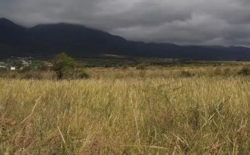 租赁房屋合同简单范本模板5篇