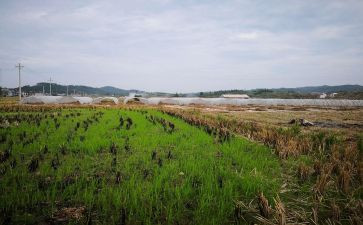 厦门租赁合同5篇